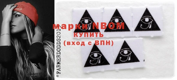 хмурый Абаза