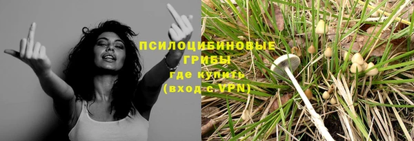 метадон Алексин