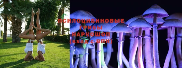 амф Абдулино